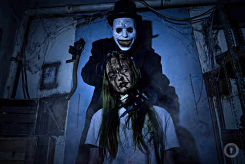 Перформанс Babadook