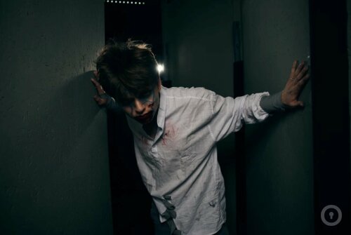 Экшн-игра Бегущий в лабиринте